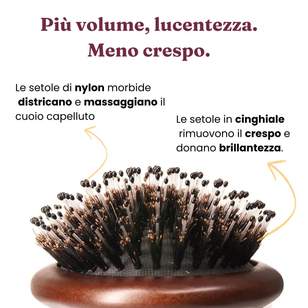 Spazzola no shampoo - DUAL